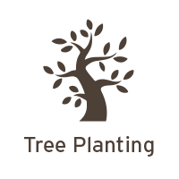 Tree Planting