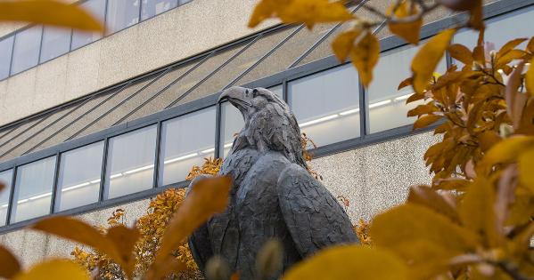 Eagle Statue on campus