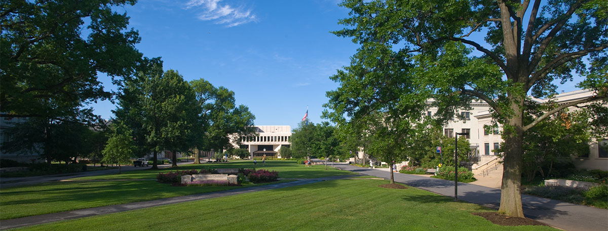 The quad on the AU campus