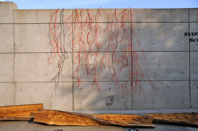 Contemporary sculpture with horizontal trees and red metal vine-like forms