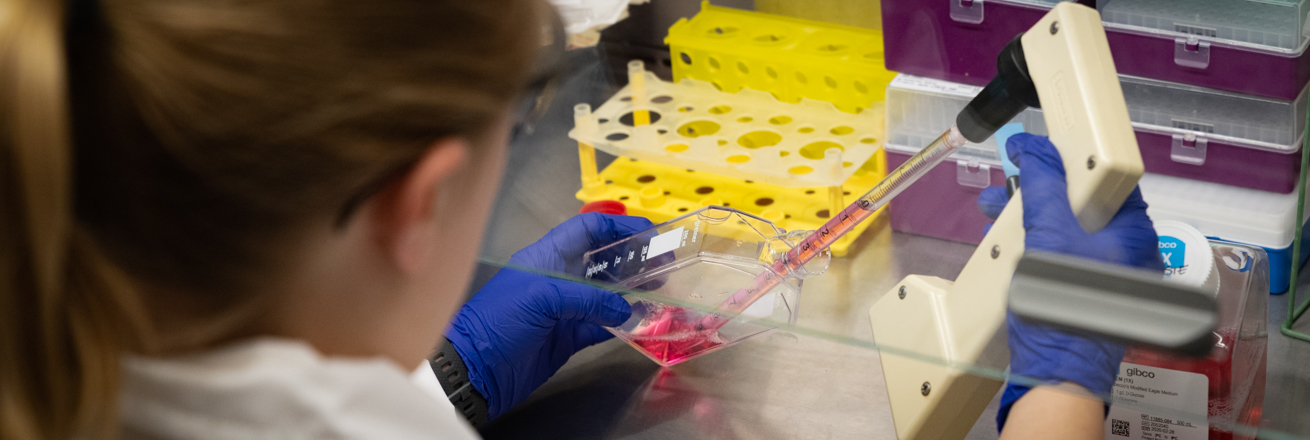 An AU premed student wearing protective gear works intently in a lab.