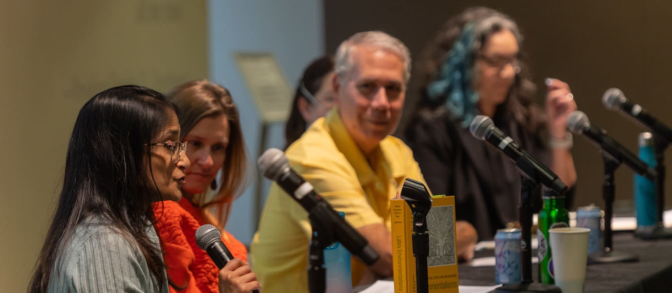 Panelists discussing environment.