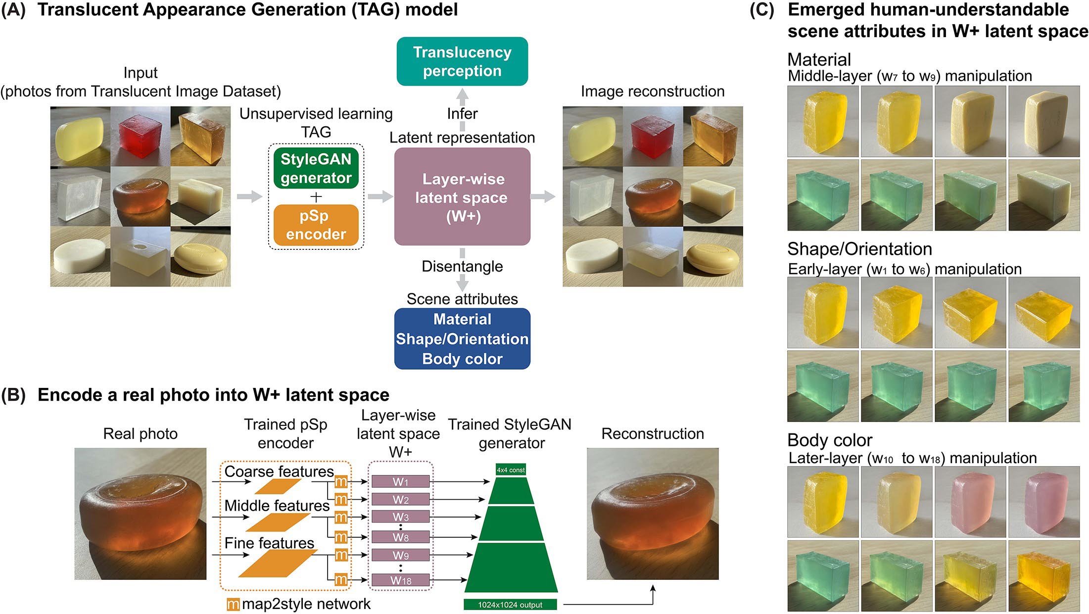 The Translucent Appearance Generation (TAG) model using StyleGAN.  Given inputs of natural images, the TAG framework, which is based on the StyleGAN2-ADA generator and pSp encoder architectures, learns to synthesize perceptually convincing images of trans