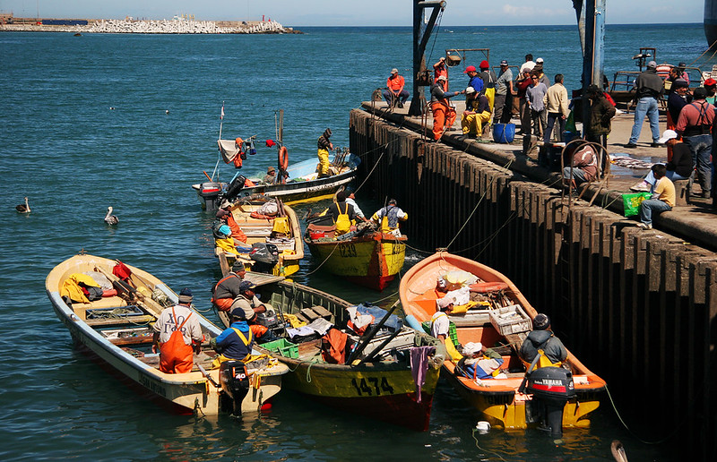 Fishing boats at a dock