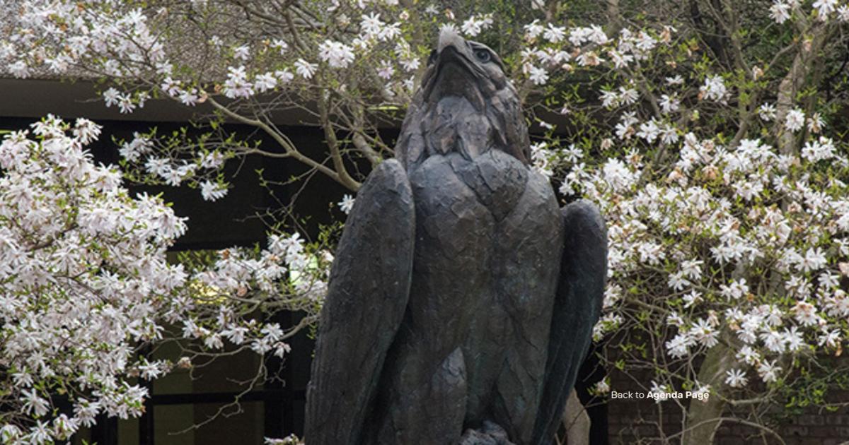 Eagle Living 2