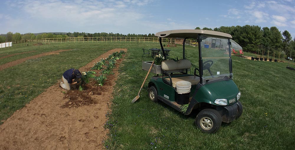 A person working in a field at Airlie