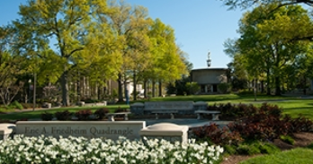 Trees and flowers on the AU quad in spring