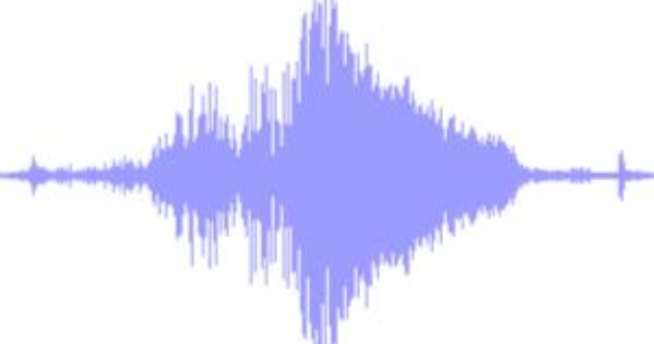 Sound waveform that starts small grows very wide and then narrows