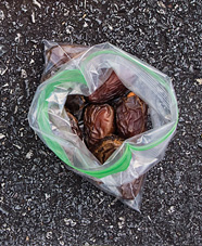 Tunisian dates