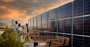 People viewing solar panels