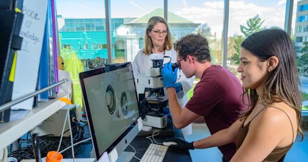 AU community members conduct research in the Hall of Science. Photo by Jeff Watts.