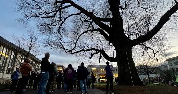 The scarlet oak on the quad is a stop during a moonlight tour of the AU Arboretum.