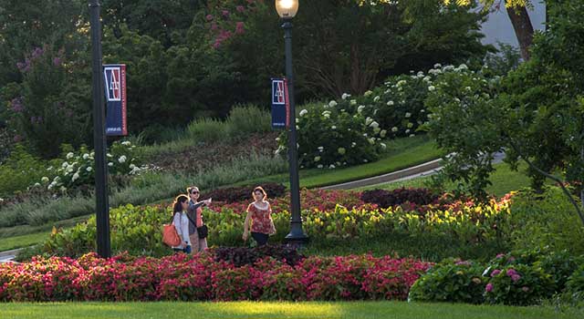 The American University campus green