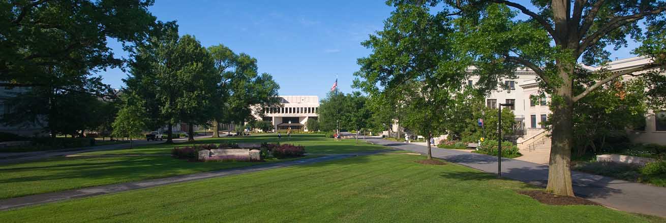 Library View from Quad