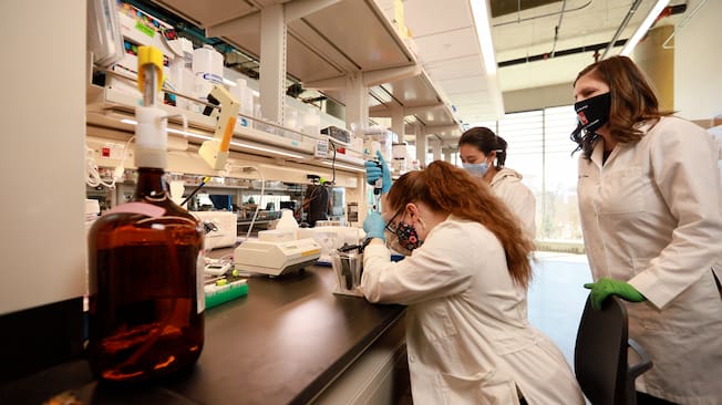 Three scientists working in a lab