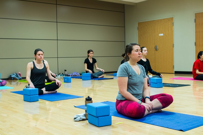 Yoga Class Participants in Mediation