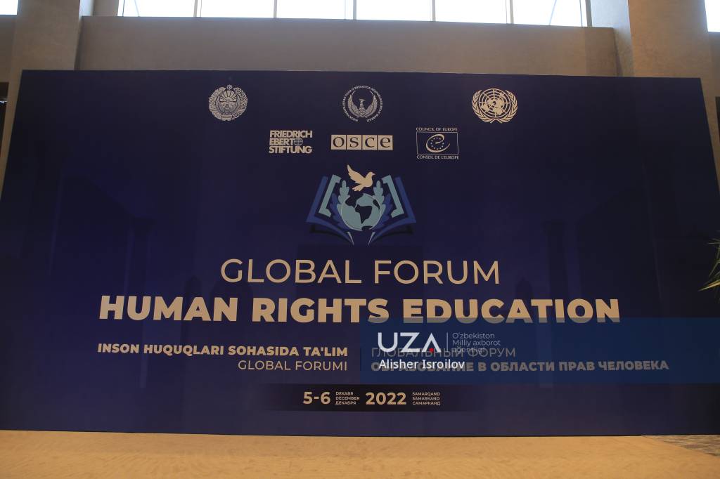 El Profesor Diego Rodríguez-Pinzón Participó en el Foro Global para Evaluar la Declaración de la ONU Sobre Educación y Formación en Materia de Derechos Humanos