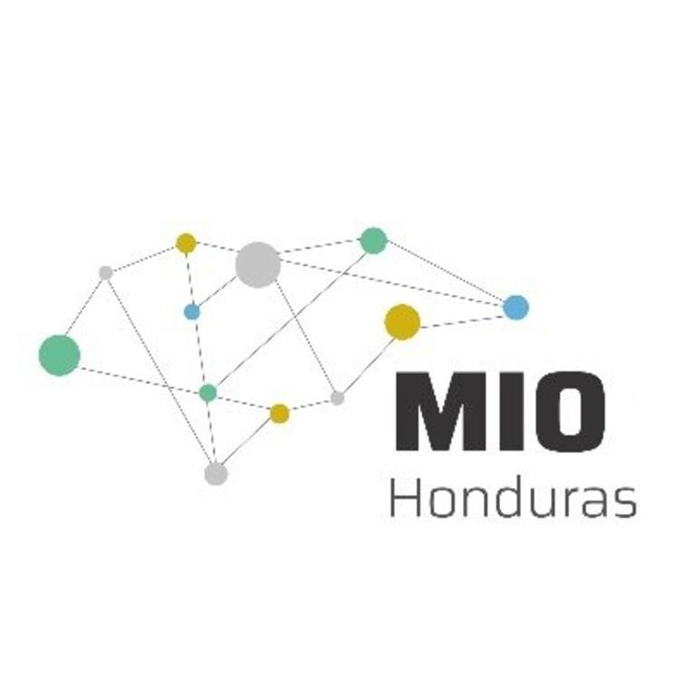 Participación de la profesora Claudia Martin en la Misión Internacional de la Observación de Honduras en 2023